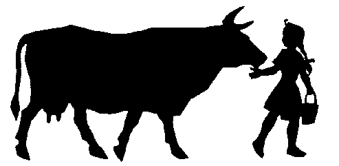 dkudk.gif (7464 Byte)